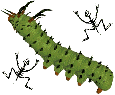 Halloween Caterpillar with Fossils