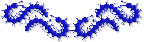 Lapis Cats