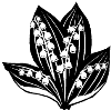 lily-of-the-valley
