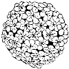 snowball