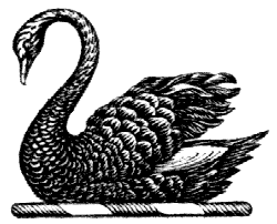 black swan