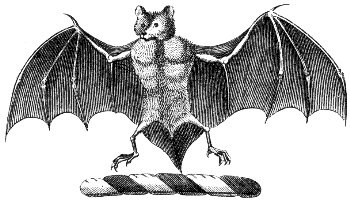 flying fox or fruit bat