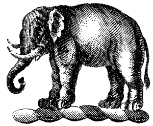 Indian elephant