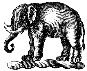 Indian elephant