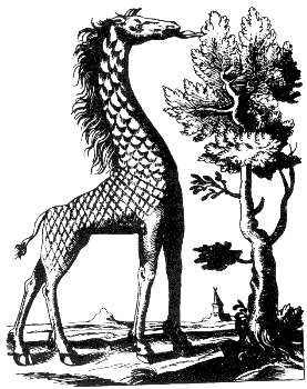 giraffe