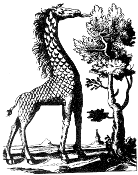 giraffe