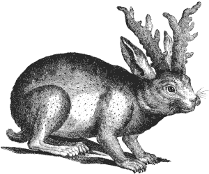 imaginary horned rabbit