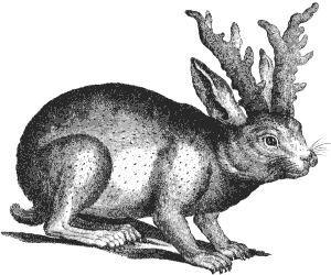 imaginary horned rabbit