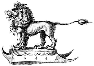 lion
