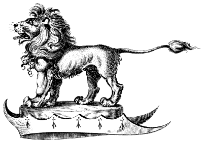 lion