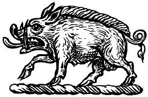wild boar