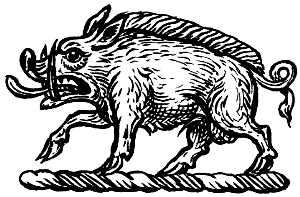 wild boar