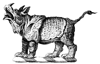 Indian rhinoceros