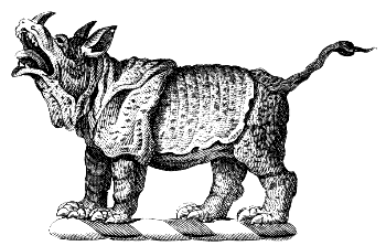 Indian rhinoceros