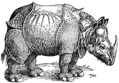 Indian rhinoceros