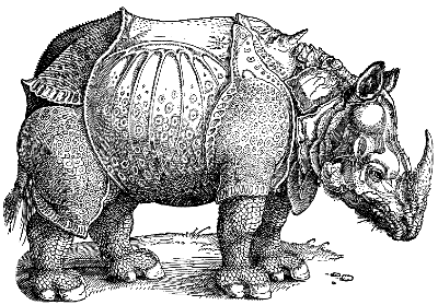 Indian rhinoceros